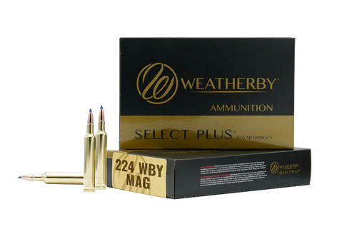 224WBY 80.5GR BERGER FBT224 WBY Mag