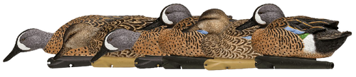 Avian X AVXAVX8080 Topflight  Blue-Winged Floating Teal Decoys Multi-Colored-6 Pack