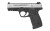 Smith & Wesson Pistol - SD - 9MM - 123903