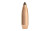 Sierra Bullets Boat Tail  - GameKing - 22 Caliber - 1395