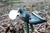 Mojo Wind Dove Decoy -