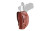 1791 Holster 3-way OWB Multi- - Fit Ambi Sz5 Glk 17/sim Brown