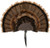 Allen Ez Mount Turkey - Fan Display Brown