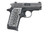 Sig Sauer P238 .380 acp. This is a special edition "We The People" that comes with custom aluminum grips embossed with 50 stars. Comes with (1) - 7 rd magazines.