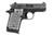 Sig Sauer P938 9mm. This is a special edition "We The People" that comes with custom aluminum grips embossed with 50 stars. Comes with (1) - 7 rd magazines.