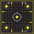 Allen 15211-30 EZ Aim Splash  Hanging 12"x12" Black/Chartreuse 30 Pack