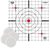 Birchwood Casey BC-37216T EZE-Scorer Thermal Targets Thermal Sight-In Hanging Paper 12" x 12" Black/Red/White