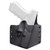 BLK Pnt OWB Sig P365 Axg RH