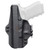 BLK Pnt Dual Pnt Sig P365 Axg RH