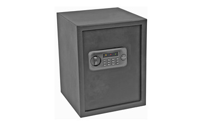 Bulldog Cases Pistol Vault BD1070