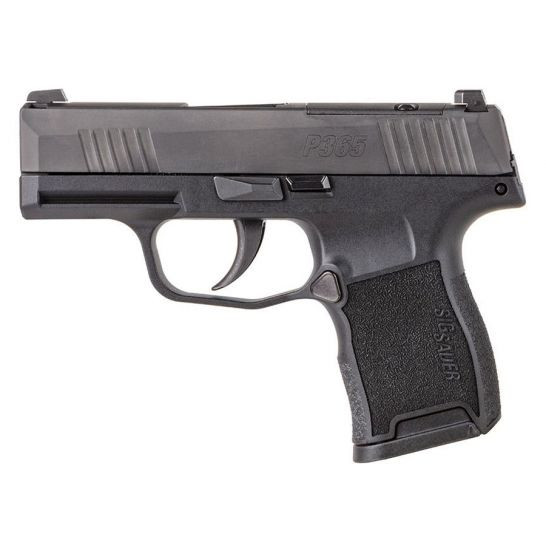 Sig P365 .380ACP 3.1" Night - Sight 10-sh Black Polymer