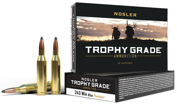 Nosler Ammo Trophy Grade .243 - 85gr Partition Tip 20pk
