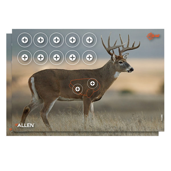 Whitetail