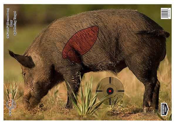 Birchwood Casey Pregame, Bir 35408 Pregame 16.5x24 Boar                 3pk