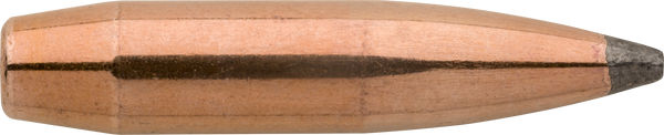 Sierra Gameking, Sierra 1940  .284 175 Sbt          100