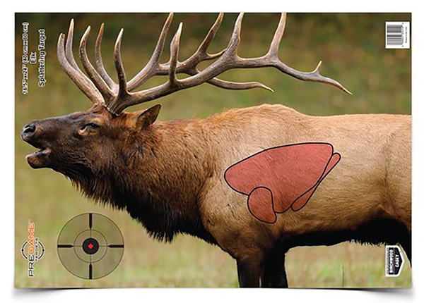 B/c Target Pregame 16.5"x24" - Elk Target 3-targets