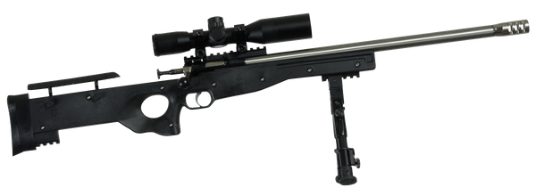 Crickett Precision Rifle .22LR - Ss/black Threaded W/scope