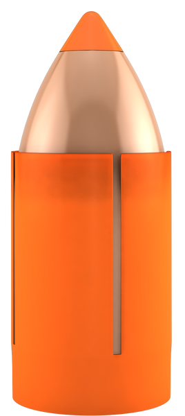 Nosler Bullets Mz .50 Cal - 300gr Ballistic Tip 15ct