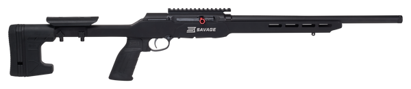 Savage A22, Sav 47248 A22 Precision 22LR  Semi