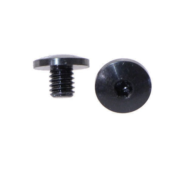 Two (2) P239 grip screws. With hex heads
