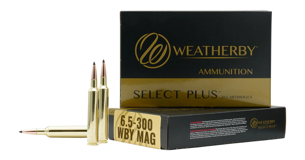 6.5-300WBY 129GR HAMMER CUSTOM6.5-300 WBY Mag