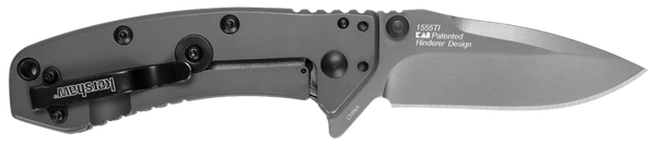 Kershaw 1555TIX Cryo  2.75" Folding Drop Point Plain Gray TiN 8Cr13MoV SS Blade Gray PVD Stainless Steel Handle Clamshell Packaging