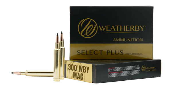 300WBY 170gr HAMMER CUSTOM300 WBY Mag