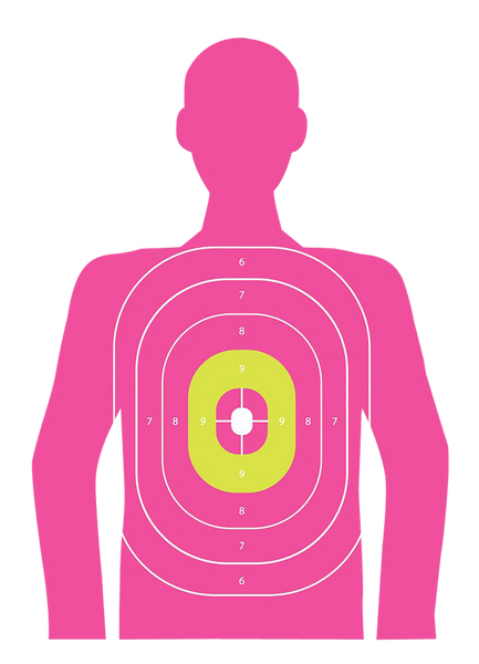 EZ-Aim 15646 In the Pink  Paper Works w/Handgun/Shotgun/Airsoft Gun/BB Guns/Pellet Gun 12 x 18 Pink 8 Pack
