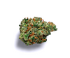 Potent Jack's Cleaner THCA Flower Madison WI sativa strain