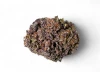 Girl Scout Cookies THCA flower 1 gram — GreenRX™ Madison WI