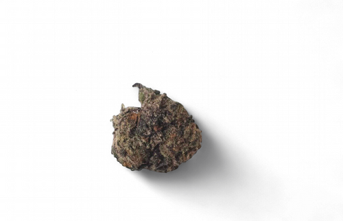 High-resolution close-up of Gello THC-A flower buds with purple hues and crystal trichomes, available at GreenRX™ Madison.