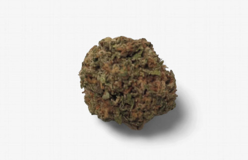 THCA Flower Madison WI - Bangkok Purple