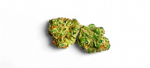 Gelato 41 THCa flower smalls — frosty green hybrid hemp buds, 1 oz, at GreenRX Madison WI dispensary