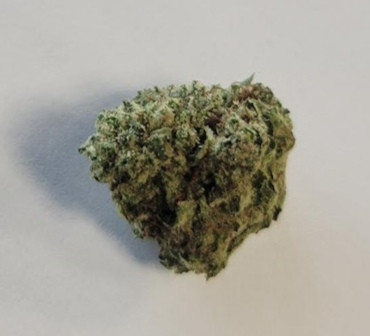 GreenRXMadison.com will soon have $ACST Crypto Discounts ONLINE too!