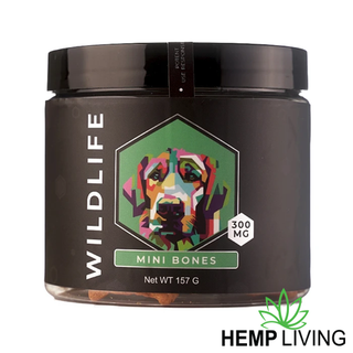 GreenRX™ offers CBD for your pets!
