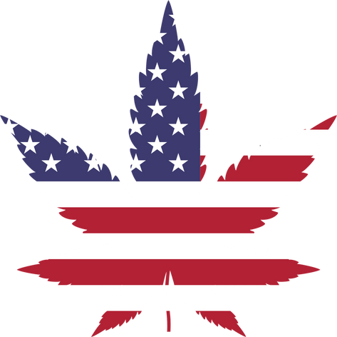 THCA Flower and the Joint Selection with the Best Prices in Madison