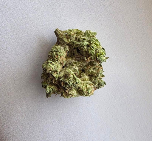 Discover the Rich, Aromatic World of THC-A Flower 1oz Log Cabin