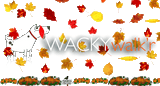 Just over 24 Hours Left - These Special Fall Savings end soon, Save big today Just over 24 Hours Left - These Special Fall Savings end soon, Save big today