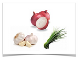 Dog Safety - NO ONIONS, GARLIC or CHIVES Dog Safety - NO ONIONS, GARLIC or CHIVES