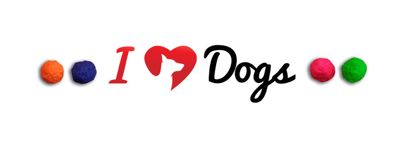 WUNDERBALL - Alternative à la balle de tennis - Un meilleur jouet tel qu'il est présenté par iHeartDogs.com