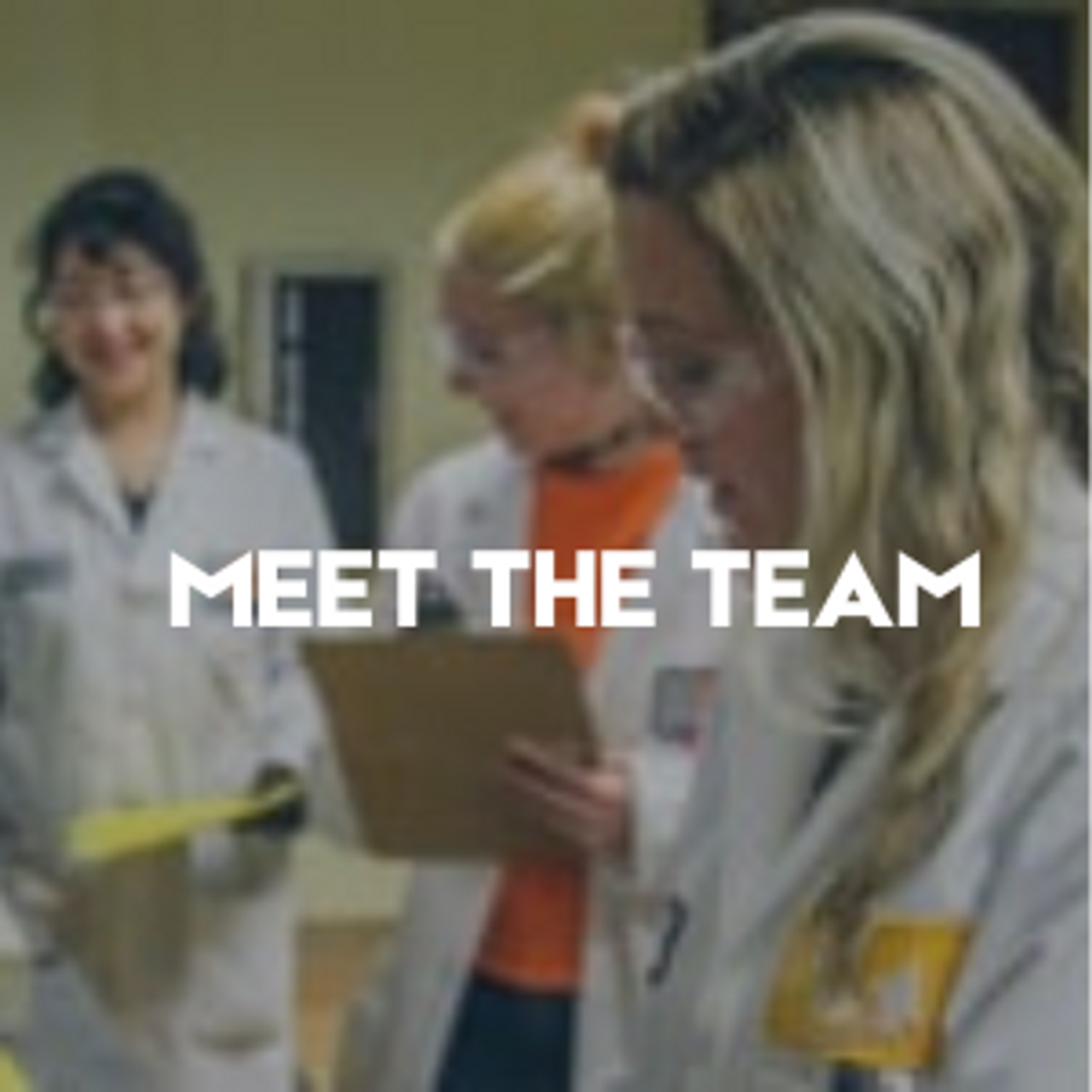 MEET THE TEAM