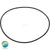 Face O-Ring for a Waterway HI-Flo 48 Frame Wet End All Horsepowers