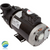 Cal Spas Ultimax Spa Pump - 3HP, 230 Volt, 56 Frame