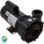 Waterway EX2 Pump Assembly - 2.0 HP / 2.5 HP SPL, 230 Volt, 2 Speed, 48 Frame