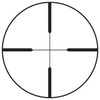 Burris Plex Reticle