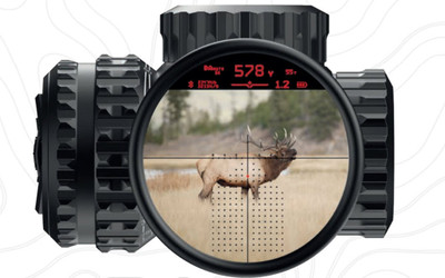 Choosing the Best Rifle Scope Reticle: A Comprehensive Guide