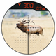 Burris Eliminator X96 Reticle