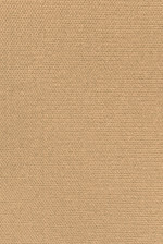 Silver Lining Adobe 6007 Modern Foam Backed Headliner