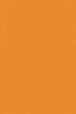 Windsong Bittersweet