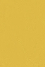 Windsong Jamaican Sun 